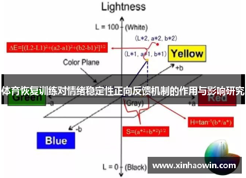 体育恢复训练对情绪稳定性正向反馈机制的作用与影响研究